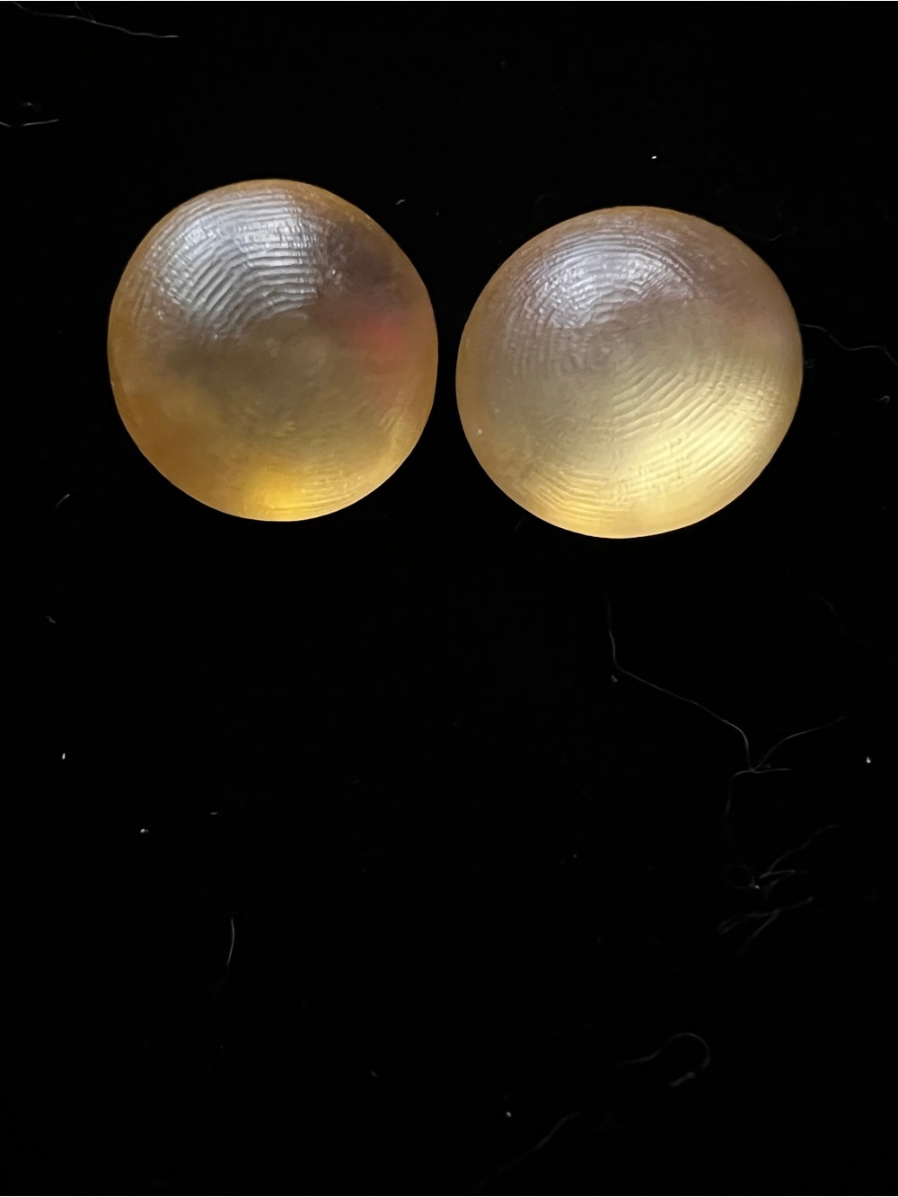 Alexis Bittar Brown/Tan Hand Carved Lucite Round Clip
